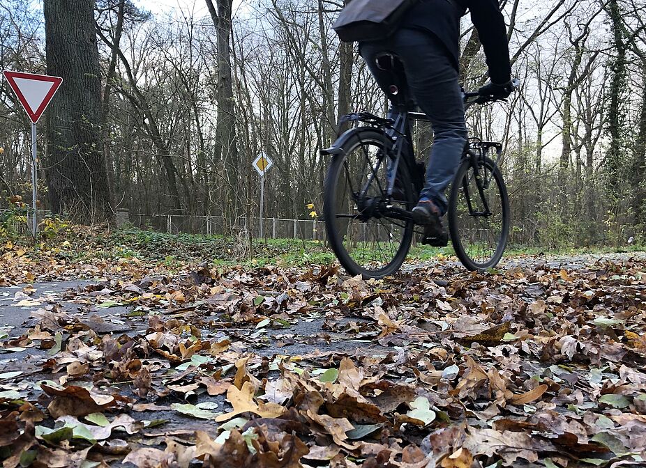 Garäumte Radwege brauchen Radfahrende auch im Herbst Radfahrer fährt über mit Laub bedeckten Radweg